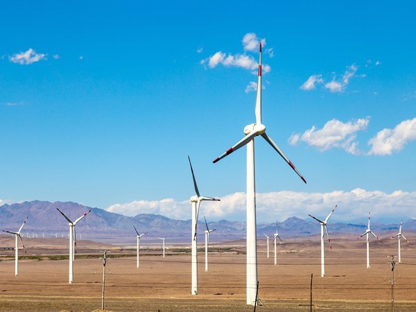 Industry Carbon Brush Industry Carbon Brush